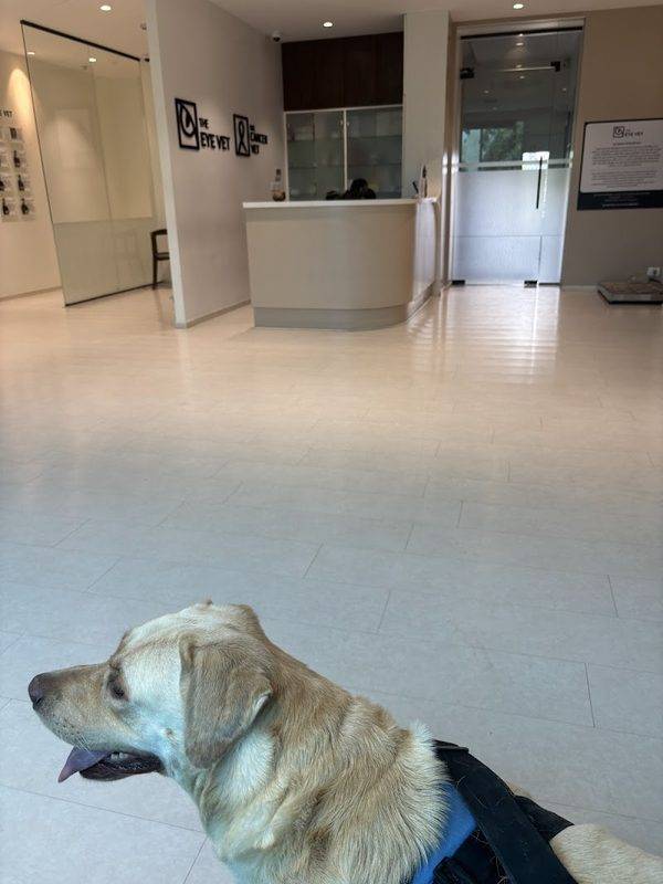 The Eye Vet