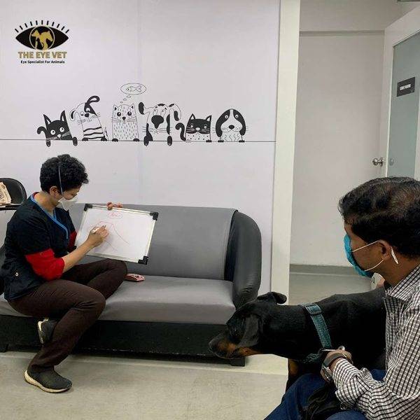 The Eye Vet