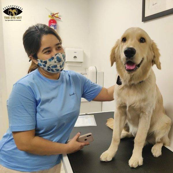 The Eye Vet