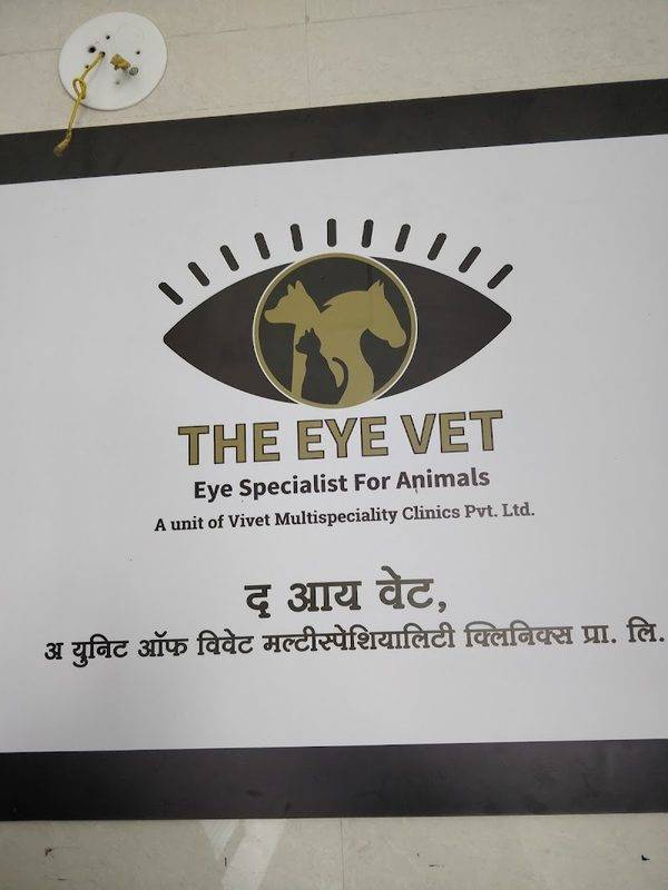 The Eye Vet